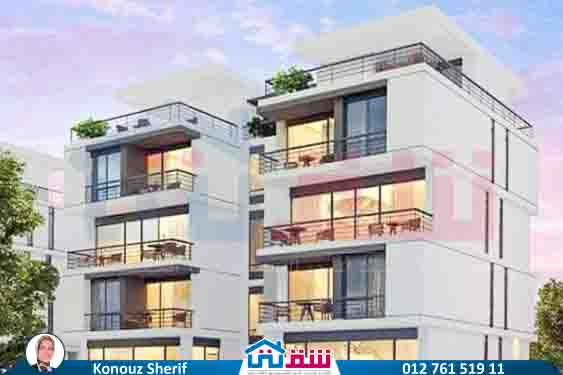 WhatsApp Image 2024-12-06 at 3.41.31 AM