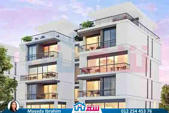 WhatsApp Image 2024-12-06 at 3.41.31 AM