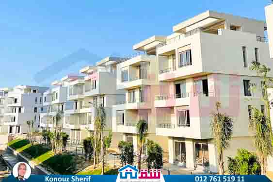 WhatsApp Image 2024-12-06 at 3.47.21 AM (1)