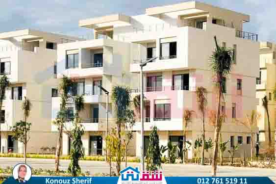 WhatsApp Image 2024-12-06 at 3.47.21 AM