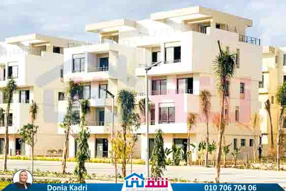 WhatsApp Image 2024-12-06 at 3.47.21 AM