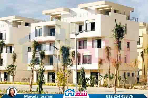 WhatsApp Image 2024-12-06 at 3.47.21 AM