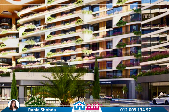 WhatsApp Image 2024-12-09 at 8.15.59 PM