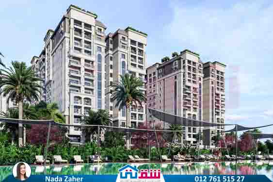 WhatsApp Image 2025-02-10 at 2.41.12 PM (1)