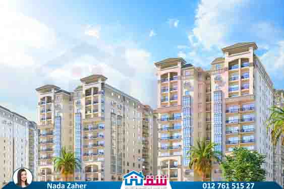 WhatsApp Image 2025-02-10 at 2.41.24 PM