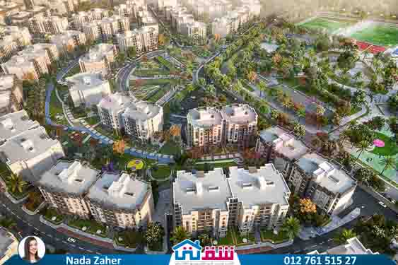 WhatsApp Image 2025-03-22 at 12.53.28 PM