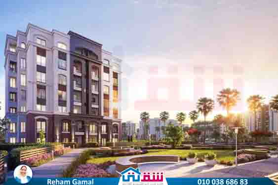 WhatsApp Image 2025-03-22 at 12.53.33 PM