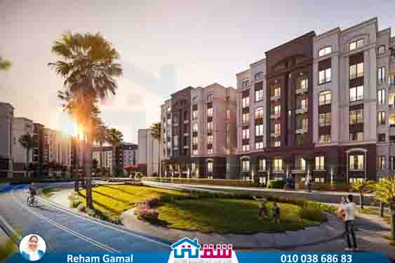 WhatsApp Image 2025-03-22 at 12.53.34 PM (2)