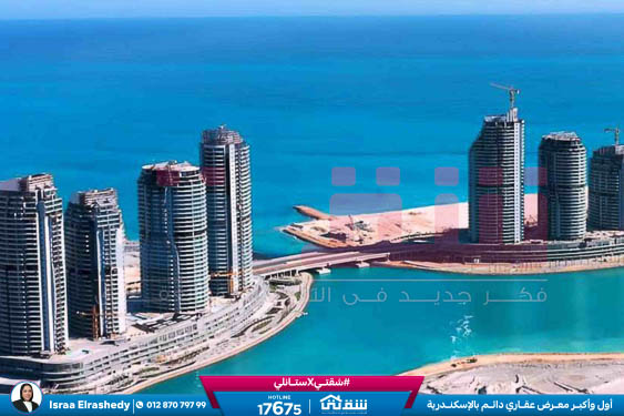 WhatsApp Image 2025-04-09 at 11.32.14 AM