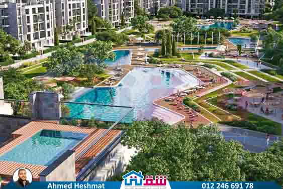 WhatsApp Image 2025-05-21 at 1.08.17 PM (1)