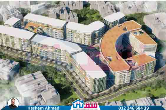 WhatsApp Image 2025-06-11 at 4.34.36 PM (1)