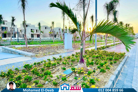 WhatsApp Image 2025-07-03 at 11.11.01 PM-2