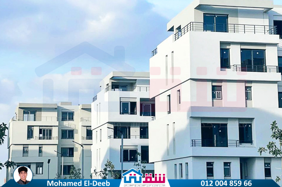 WhatsApp Image 2025-07-03 at 11.11.03 PM-2