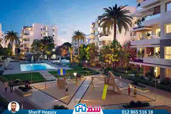 WhatsApp Image 2025-07-06 at 3.34.54 PM