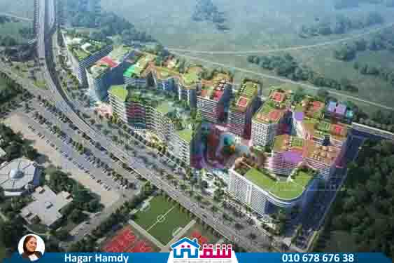 WhatsApp Image 2025-07-23 at 1.12.49 PM