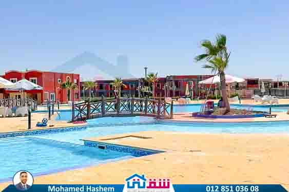 WhatsApp Image 2025-07-23 at 3.36.36 PM (3)