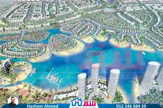 WhatsApp Image 2025-07-27 at 1.04.16 PM