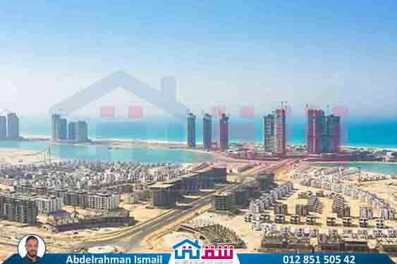 WhatsApp Image 2025-07-27 at 1.05.20 PM (3)