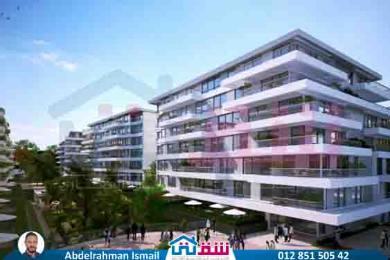 WhatsApp Image 2025-07-27 at 12.31.23 PM