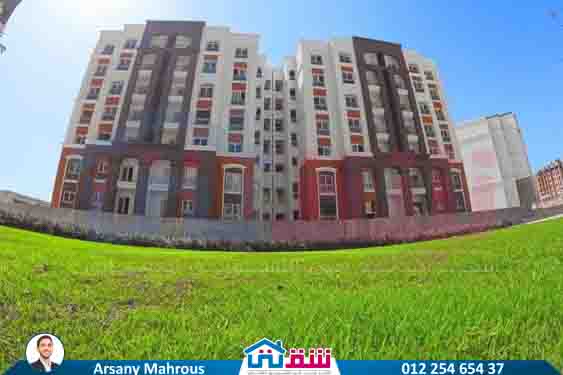 WhatsApp Image 2025-07-27 at 2.39.04 PM