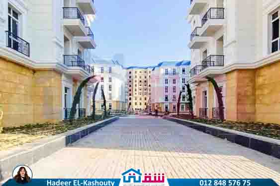 WhatsApp Image 2025-07-27 at 3.36.38 PM