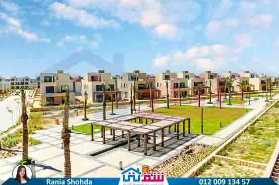 WhatsApp Image 2025-07-28 at 8.16.10 PM