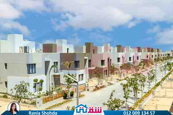 WhatsApp Image 2025-07-28 at 8.17.14 PM