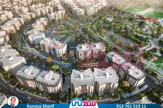 WhatsApp Image 2025-07-29 at 1.45.29 PM (5)