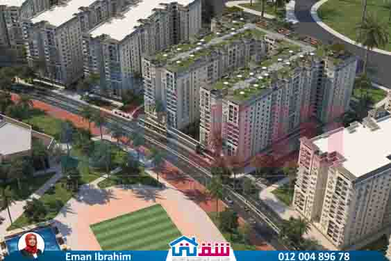 WhatsApp Image 2025-07-29 at 6.36.58 PM