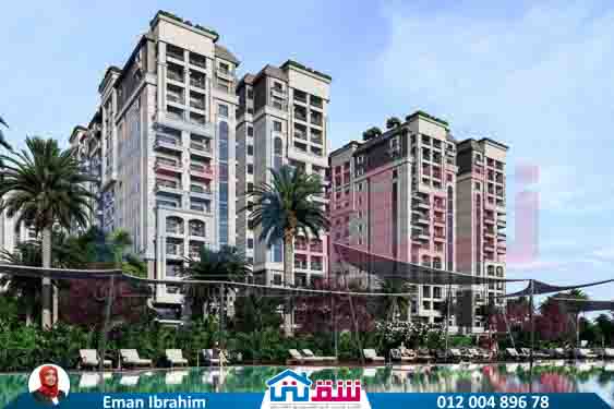 WhatsApp Image 2025-07-29 at 6.37.01 PM