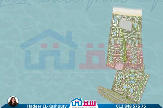 WhatsApp Image 2025-07-30 at 3.24.10 PM (1)