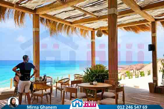 WhatsApp Image 2025-08-03 at 1.52.50 PM