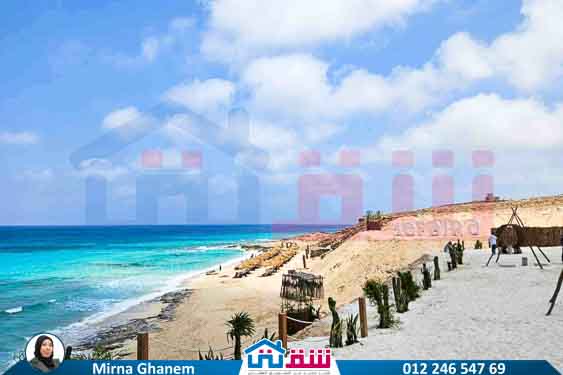 WhatsApp Image 2025-08-03 at 1.52.56 PM