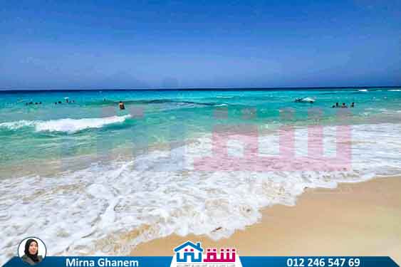 WhatsApp Image 2025-08-03 at 1.52.58 PM (1)