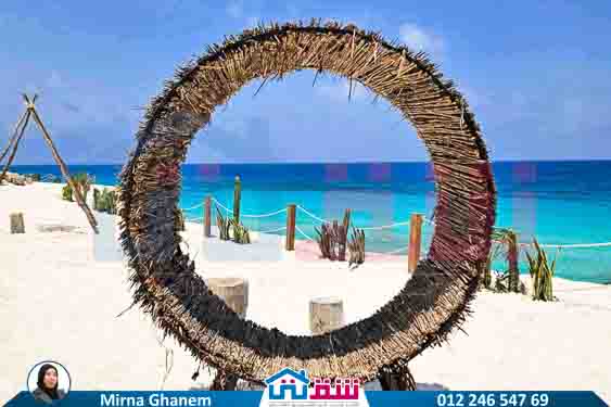 WhatsApp Image 2025-08-03 at 1.52.58 PM