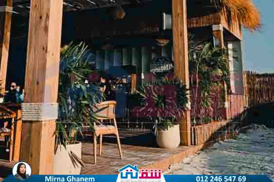 WhatsApp Image 2025-08-03 at 1.52.59 PM (1)