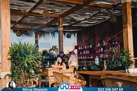 WhatsApp Image 2025-08-03 at 1.53.00 PM (1)