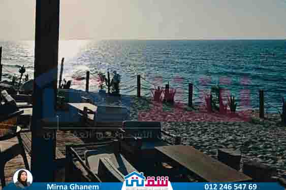 WhatsApp Image 2025-08-03 at 1.53.00 PM (3)