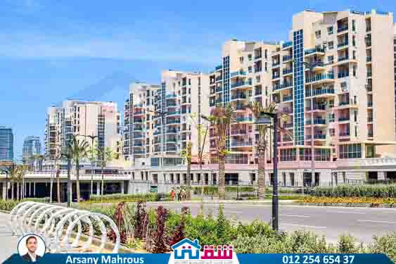 WhatsApp Image 2025-08-03 at 11.26.43 AM