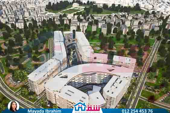 WhatsApp Image 2025-08-03 at 2.16.25 PM