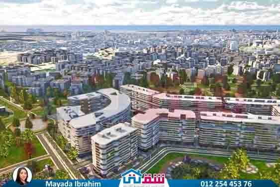 WhatsApp Image 2025-08-03 at 2.16.27 PM (1)