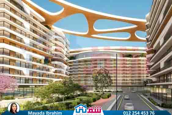 WhatsApp Image 2025-08-03 at 2.16.27 PM (3)