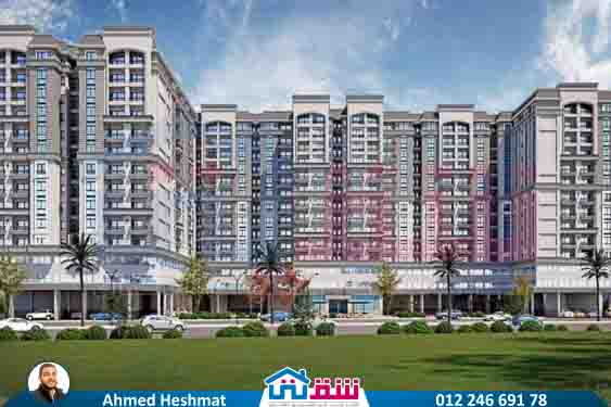 WhatsApp Image 2025-08-04 at 1.11.20 AM (1)