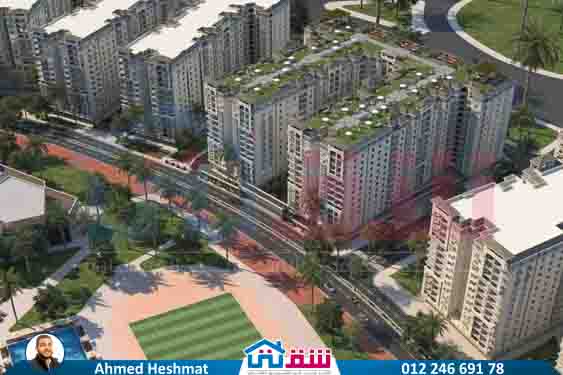 WhatsApp Image 2025-08-04 at 1.11.21 AM (3)