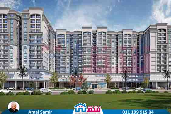 WhatsApp Image 2025-08-04 at 1.11.22 AM