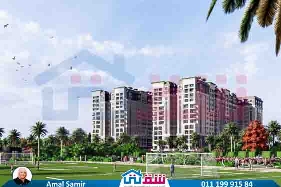 WhatsApp Image 2025-08-04 at 1.11.23 AM (2)