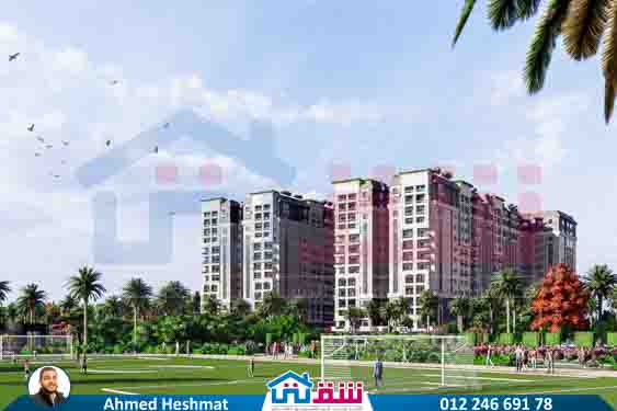 WhatsApp Image 2025-08-04 at 1.11.23 AM (2)