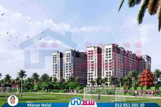 WhatsApp Image 2025-08-04 at 14.08.43_092efaef