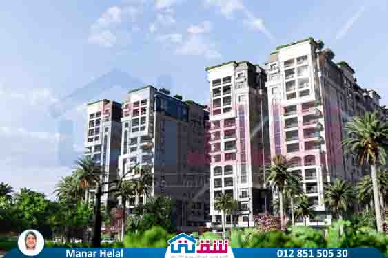 WhatsApp Image 2025-08-04 at 14.08.43_b1a6f41d