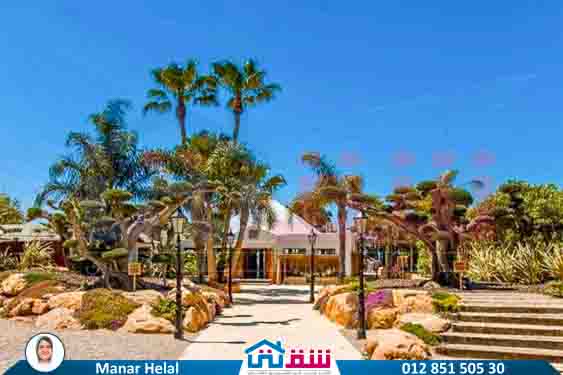 WhatsApp Image 2025-08-04 at 5.54.01 PM